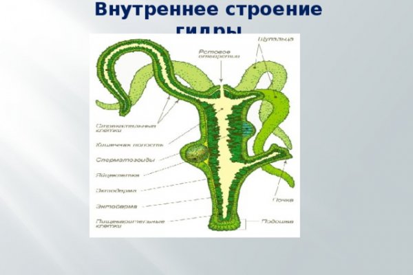 Кракен даркнет зеркало